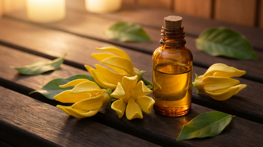Ylang-Ylang ätherisches Öl in dunkler Glasflasche neben gelben Ylang-Ylang-Blüten auf edlem Saunaholz – luxuriöser Saunaaufguss für Tiefenentspannung